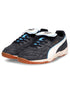 Puma King Indoor D10
