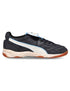 Puma King Indoor D10
