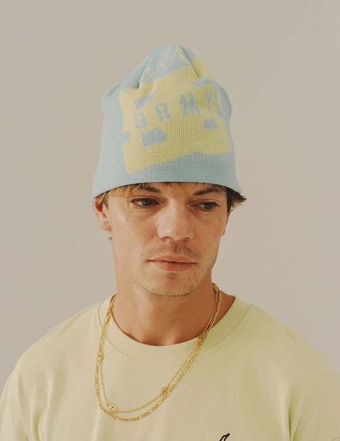 Grimey x DC shoes The Swarm