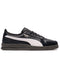 Puma Indoor