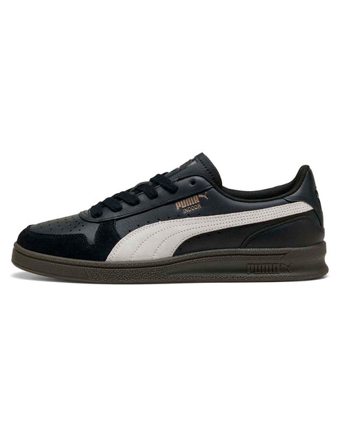Puma Indoor