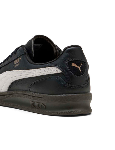 Puma Indoor