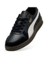 Puma Indoor